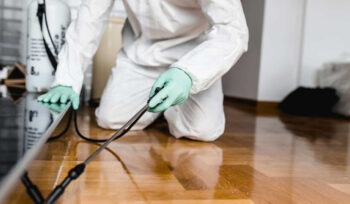 Pest Control Services in Dhaka