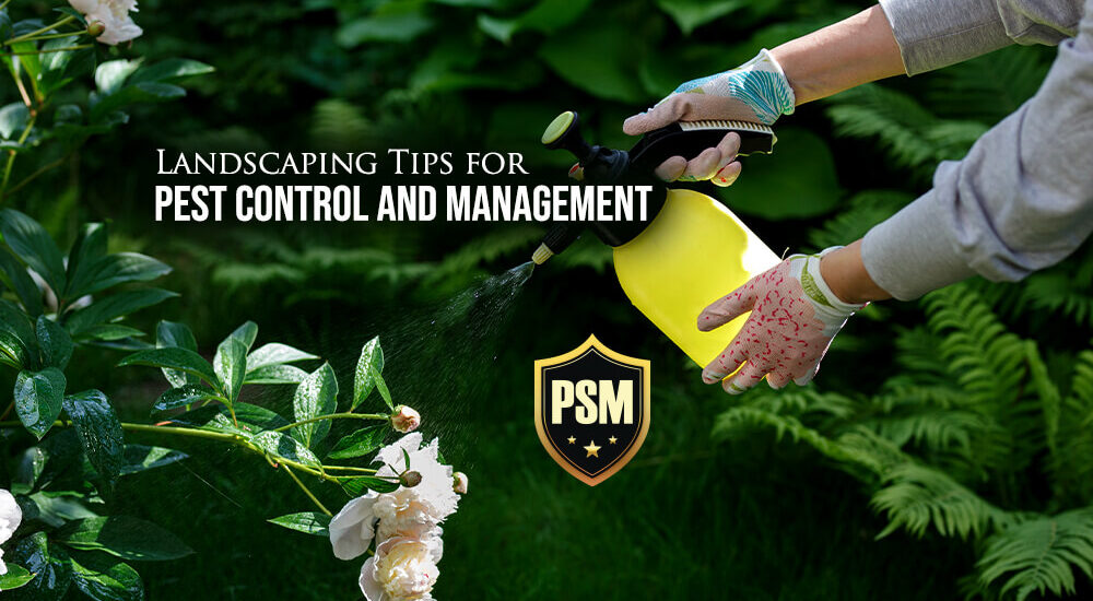 Landscaping Tips for Pest Control and Management