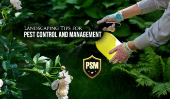 Landscaping Tips for Pest Control and Management