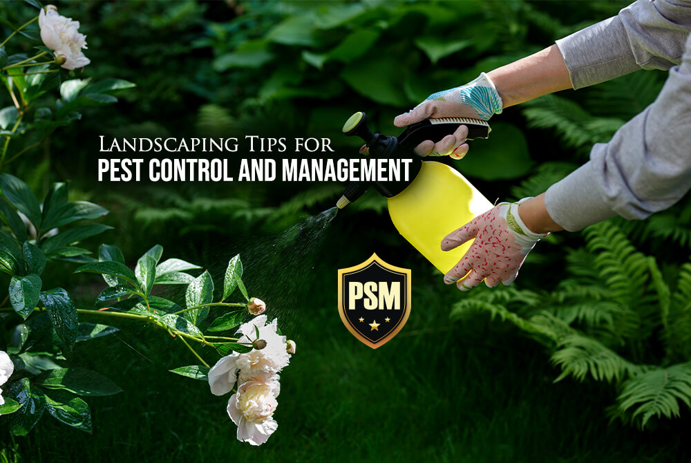 Landscaping Tips for Pest Control and Management