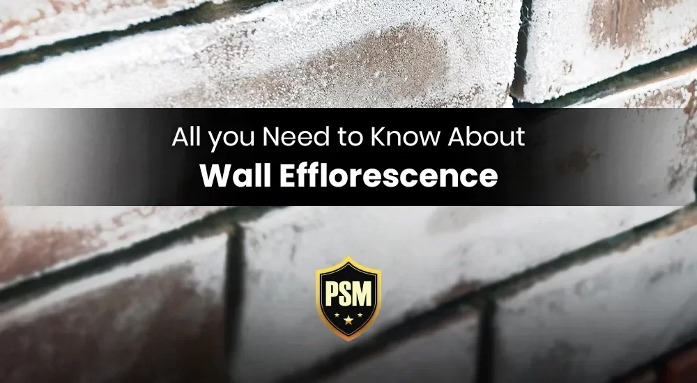 Wall Efflorescence