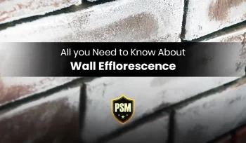 Wall Efflorescence