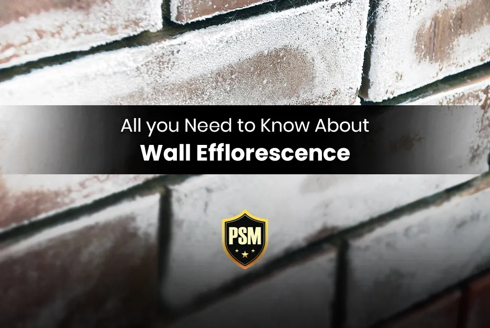 Wall Efflorescence