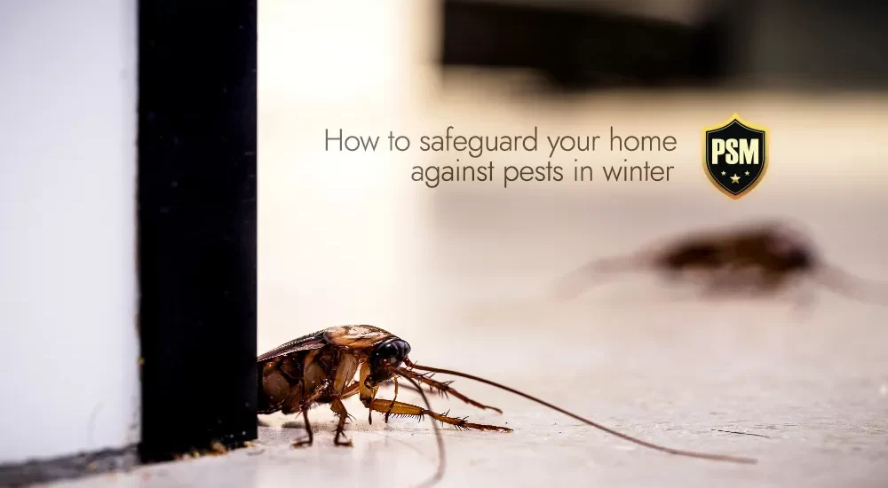 safeguard your home against pests in winter