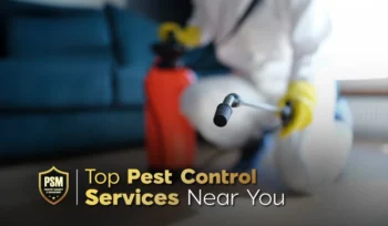 Top Pest Control Services Near You