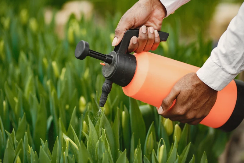 African gardener guy gardener with watering can flower beds