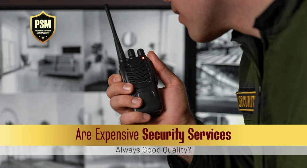 Expensive Security Services