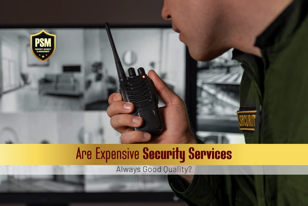 Expensive Security Services